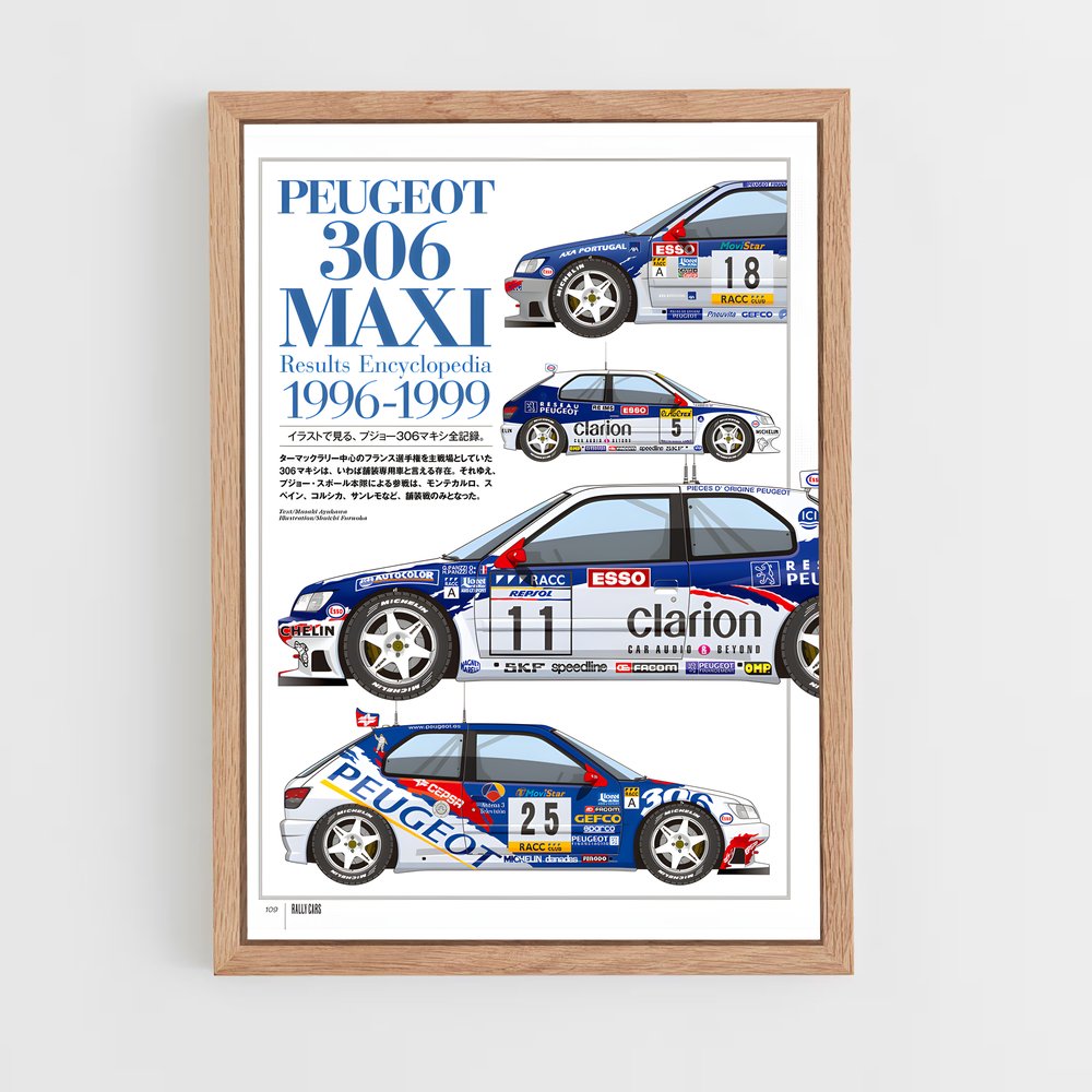 Poster Peugeot 80 Rallye (vue 4)